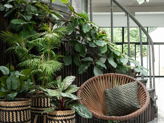 Creëer van je tuin, terras of balkon een oase van rust en gezelligheid