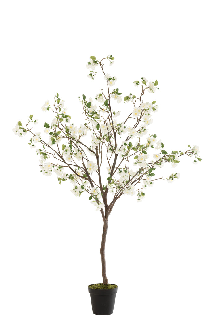 Bloesemboom Wit/Bruin L - J-LINE