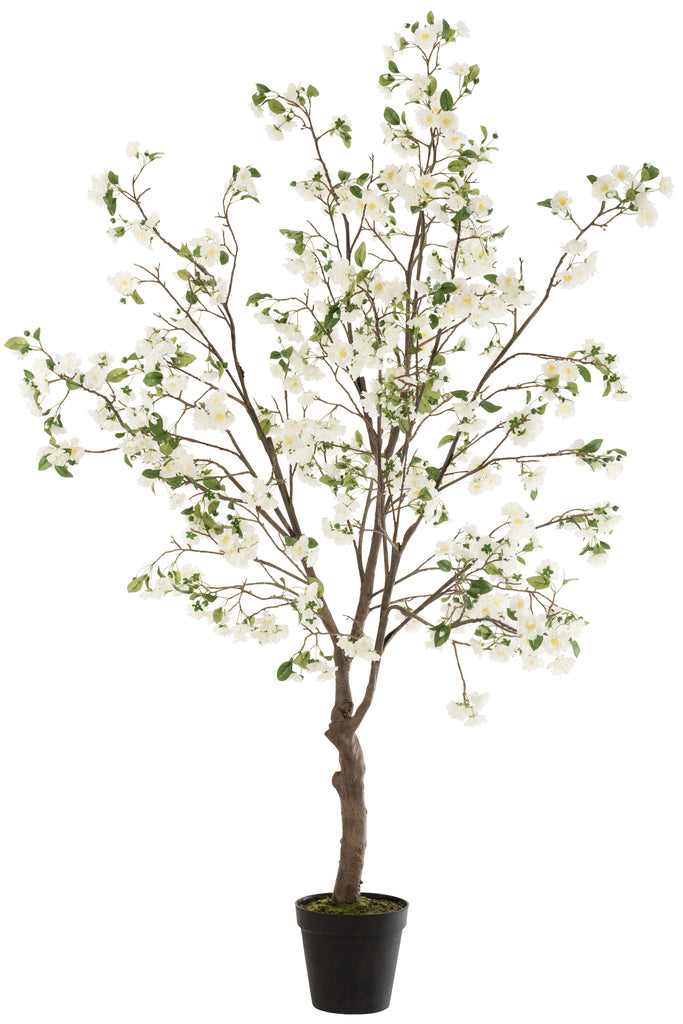 Bloesemboom Wit/Bruin XL - J-LINE