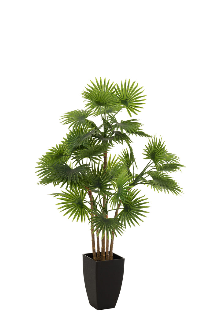 Palmboom in pot - J-LINE