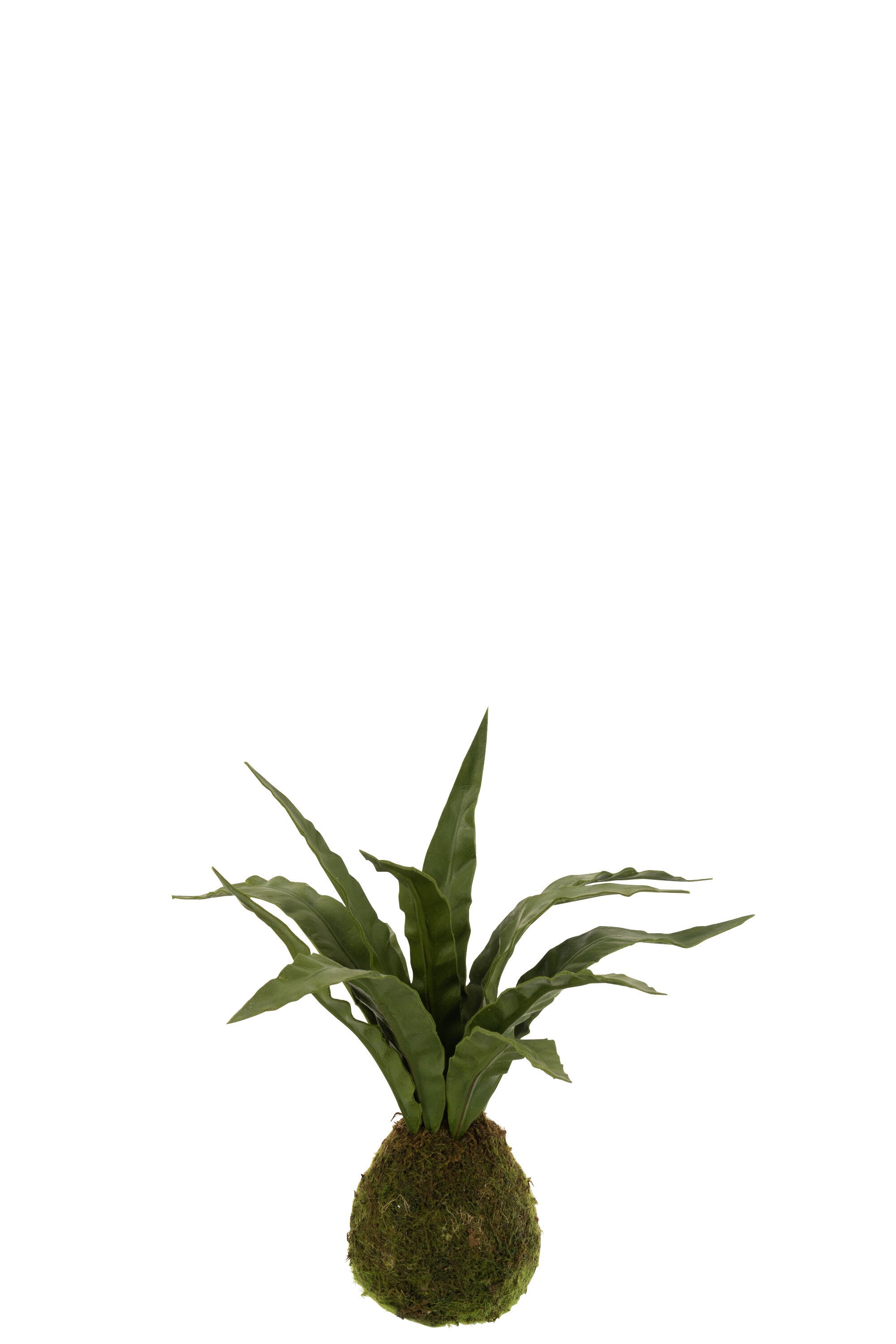 Slangenplant Plastic Groen - J-LINE