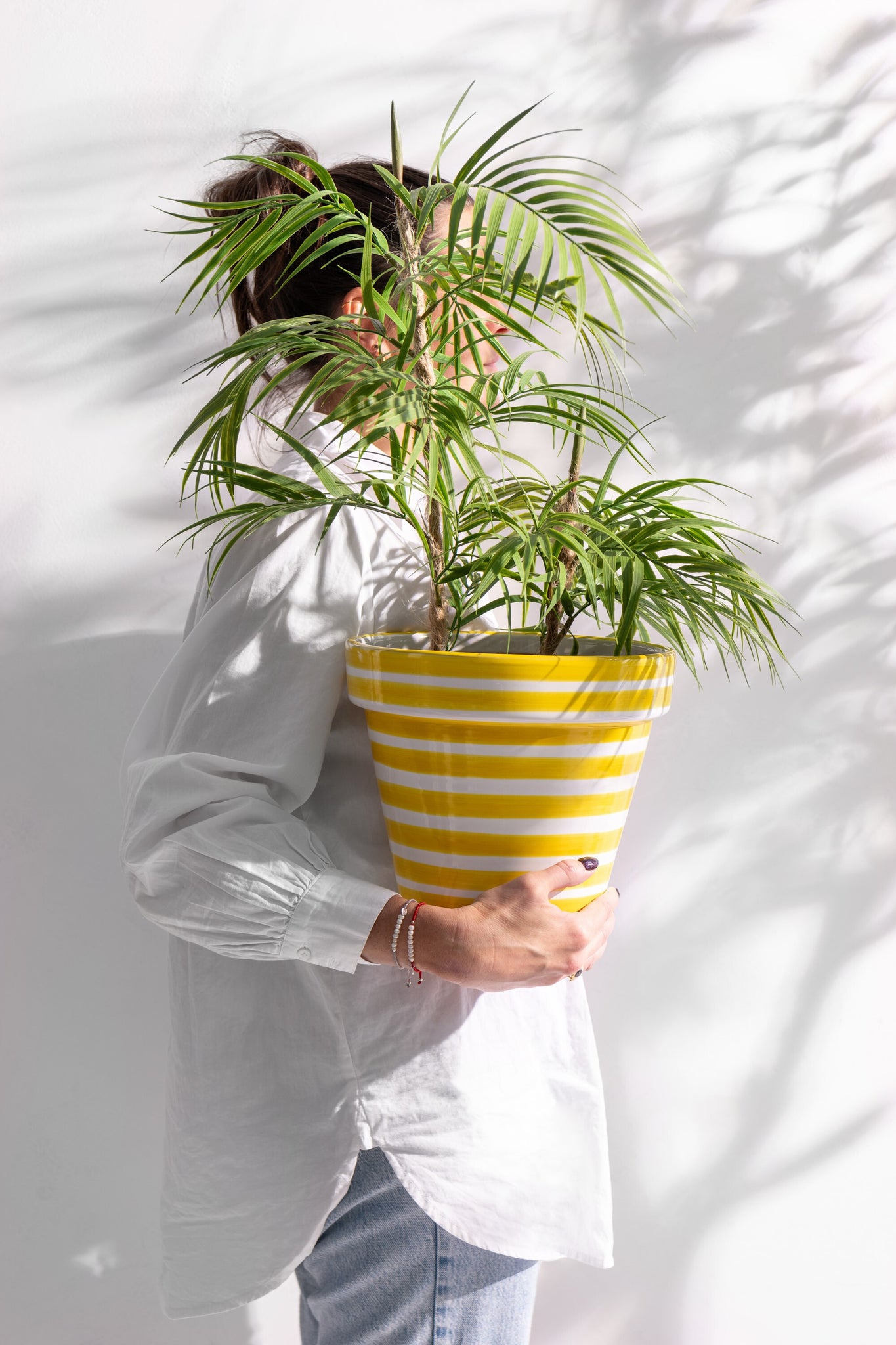 Chamaedorea in pot - J-LINE