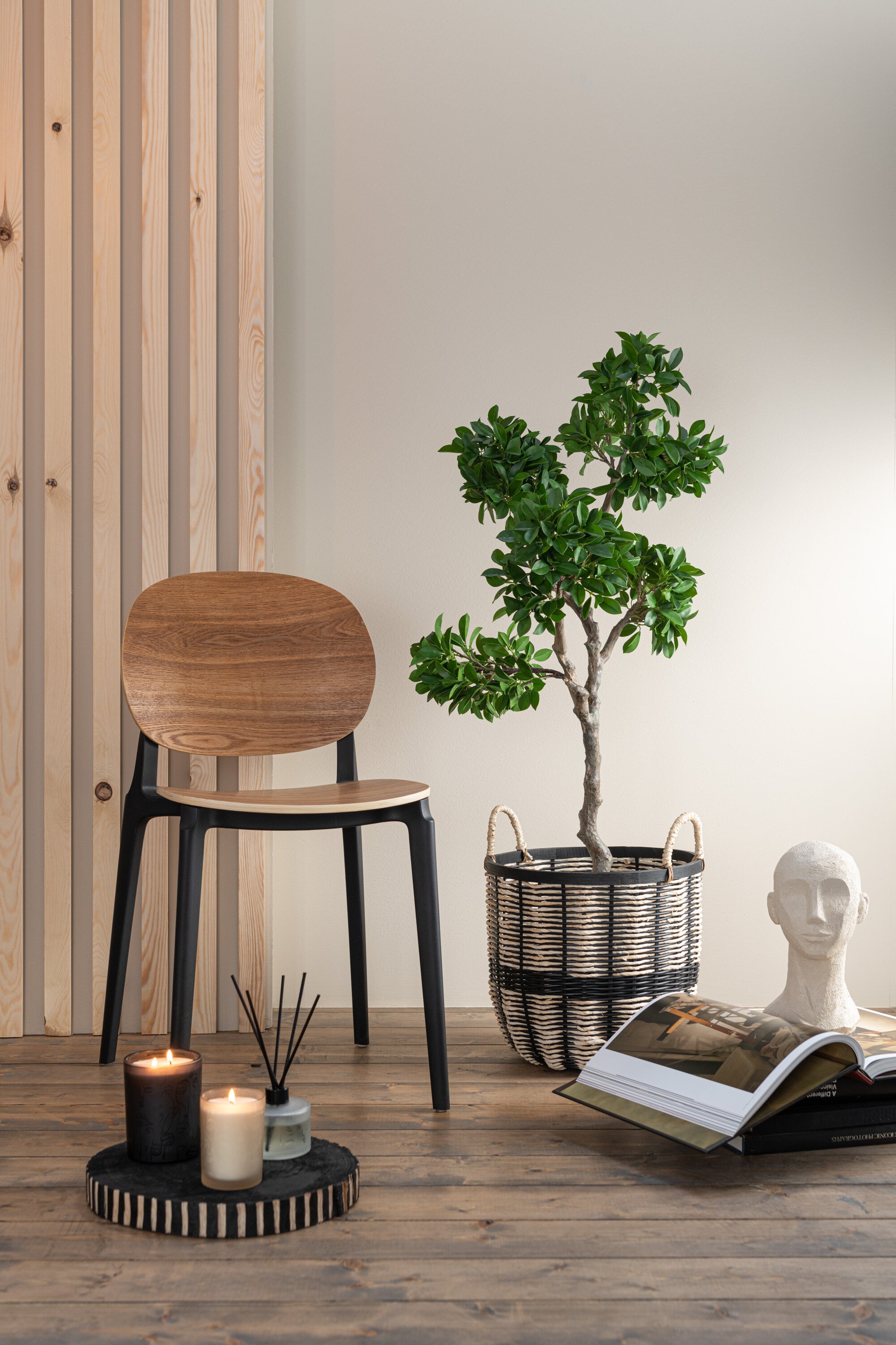 Chaise Basic en polyester/placage naturel - J-LINE