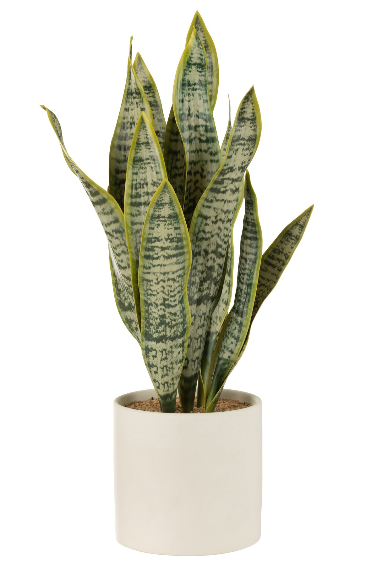 Plante Sansevieria en pot PVC Vert XL - J-LINE