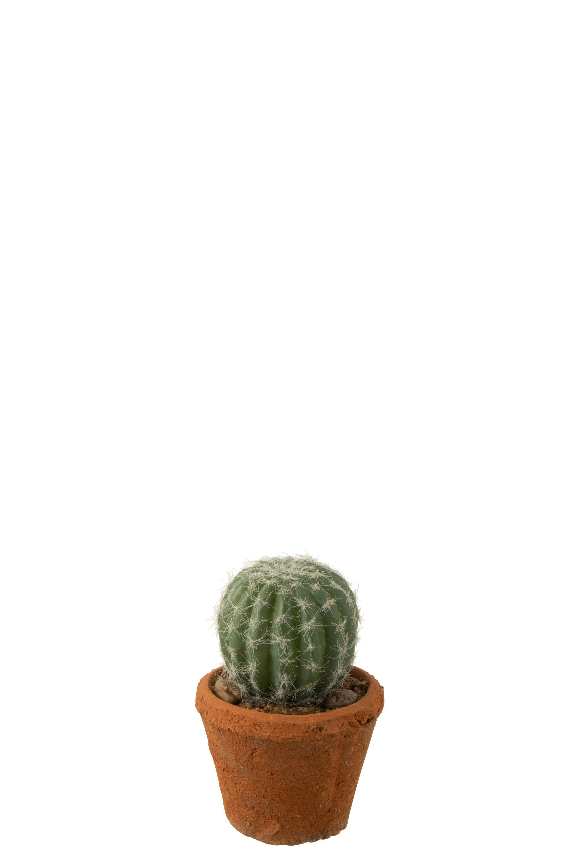 Cactus Plastic Groen - J-LINE