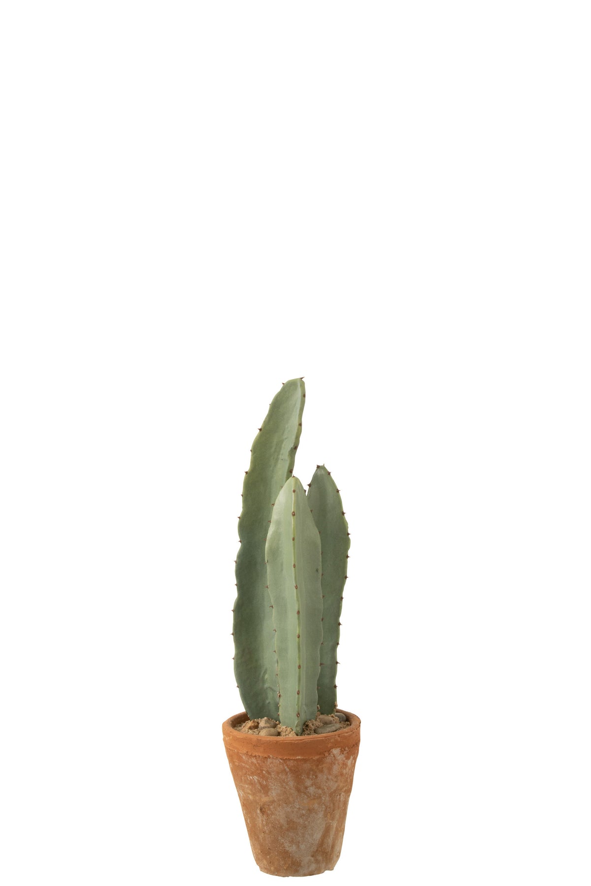 Cactus 3 Parties En Pot Plastique Vert S - J-LINE