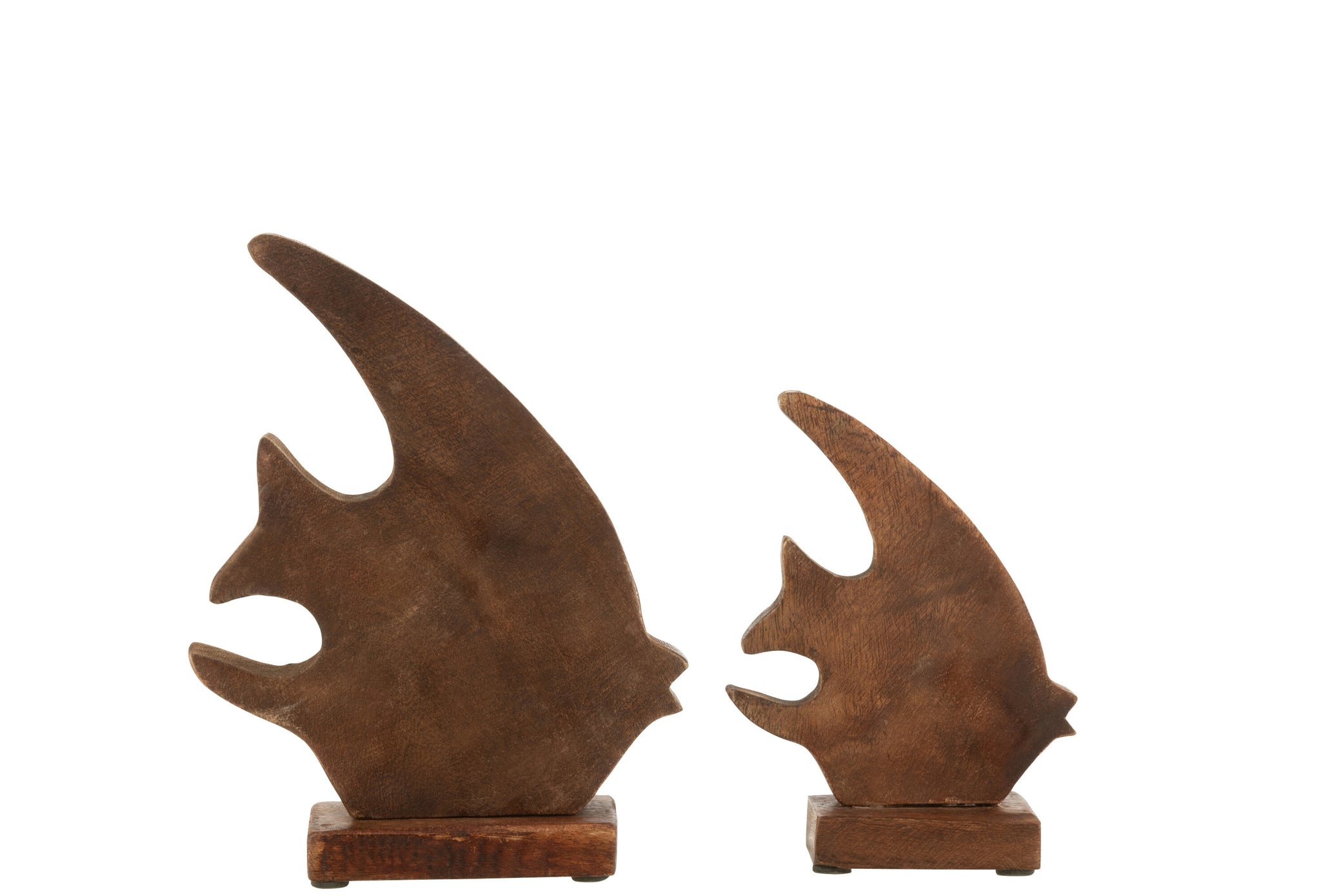 Vis op voet Mangohout Azuur L - J-LINE