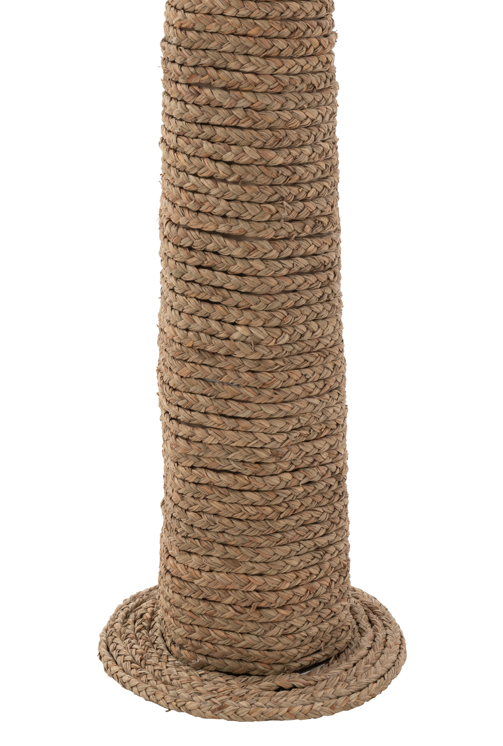Palmier Herbe Marine Naturelle M - J-LINE - EN RUPTURE DE STOCK