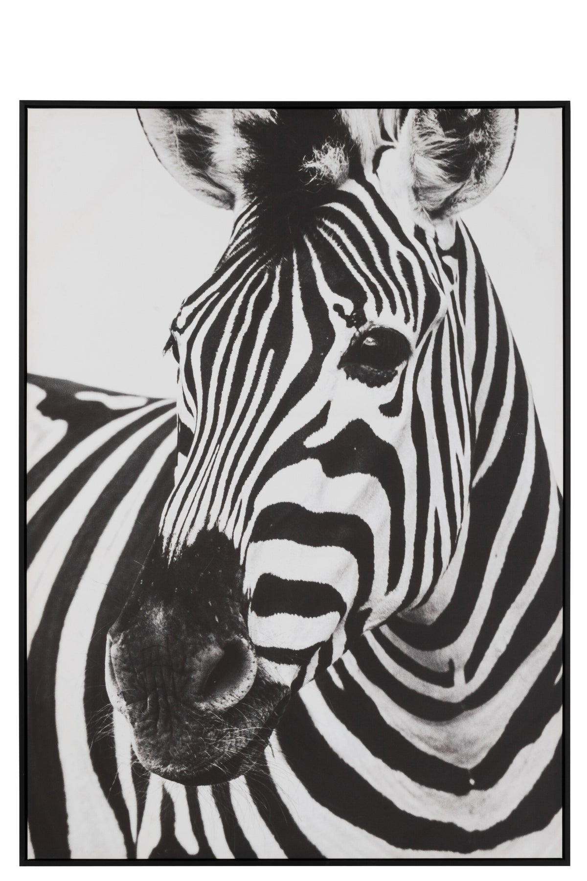 Wanddecoratie Zebra - J-LINE