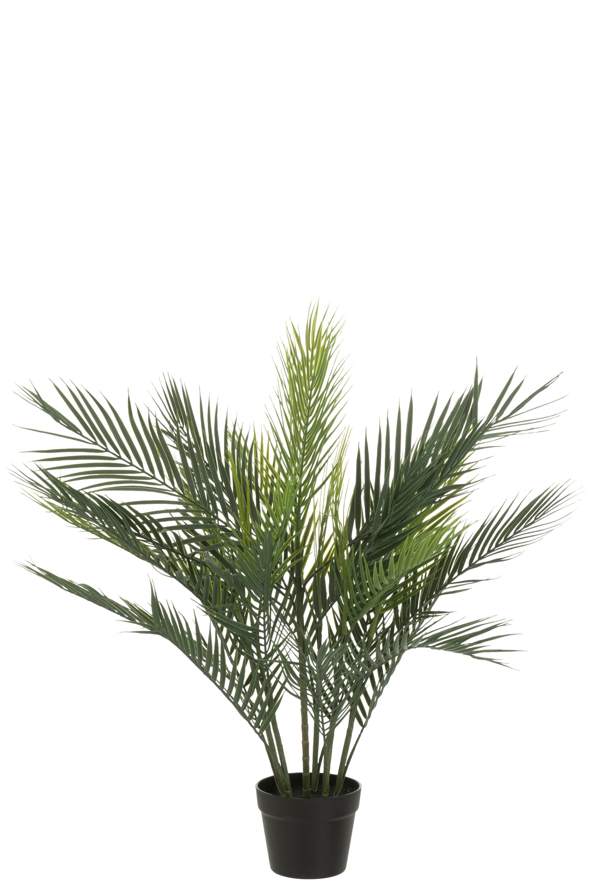 Palmboom in pot Groen - J-LINE