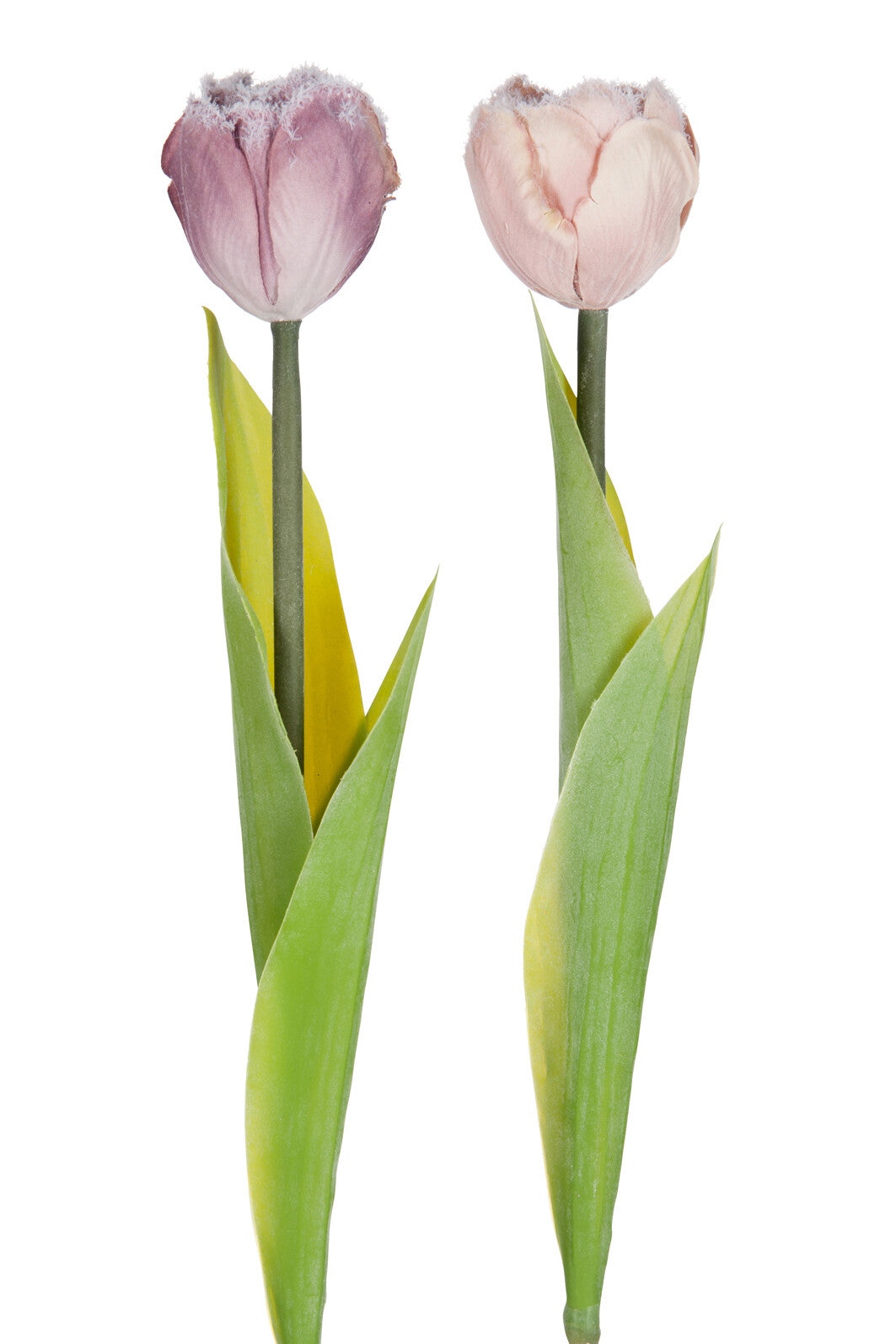 Eland Slee Polyester Beige - J-Line