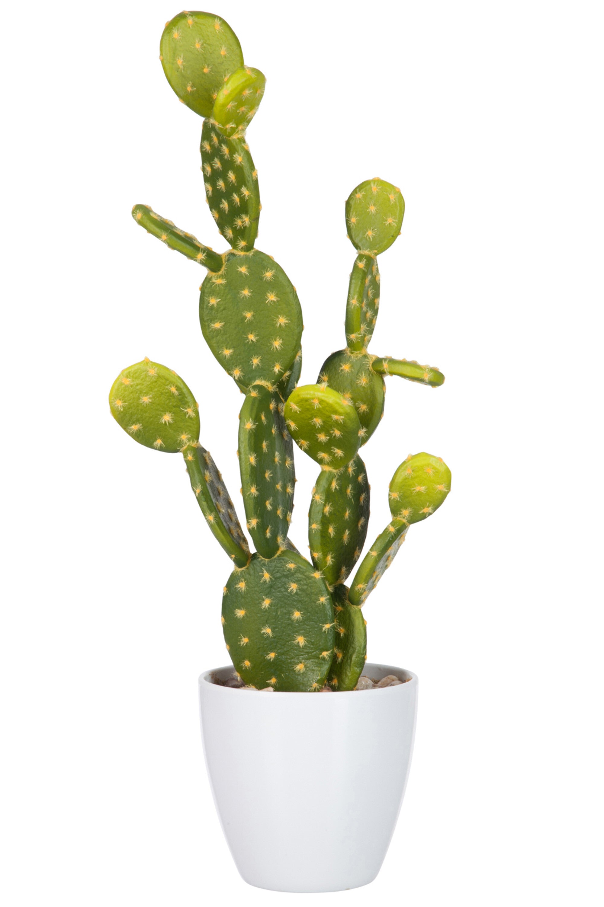 Vijgcactus plastic Groen L - J-LINE