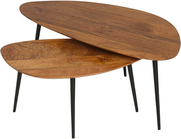 Table basse Ginger - lot de 2, forme organique - NW