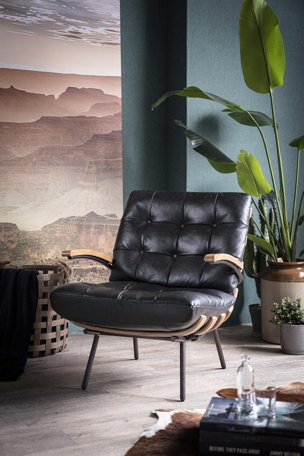 Fauteuil Bastiaan - leder: cognac, zwart of donkerbruin - ELEO