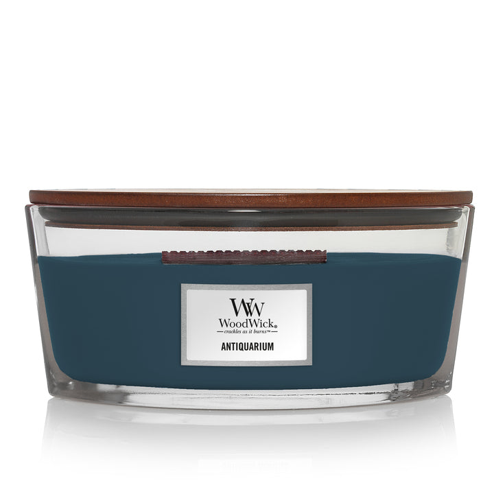 WoodWick Antiquarium Ellips