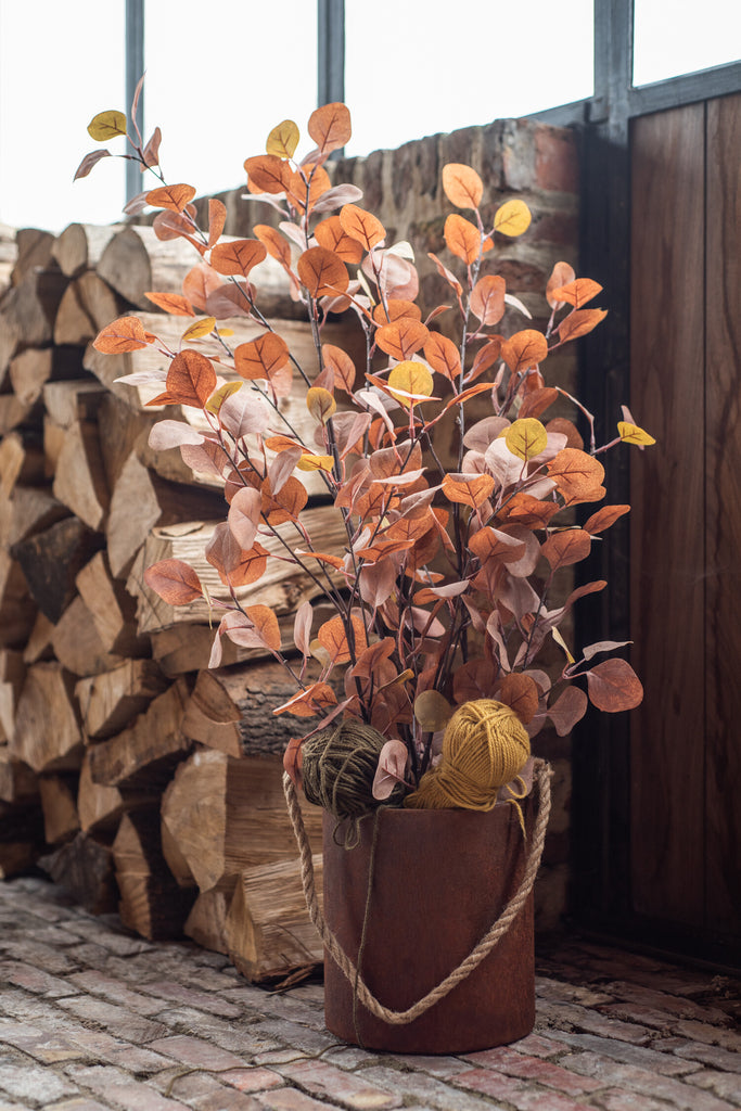 Chinese geldplant in pot - Roest Groot