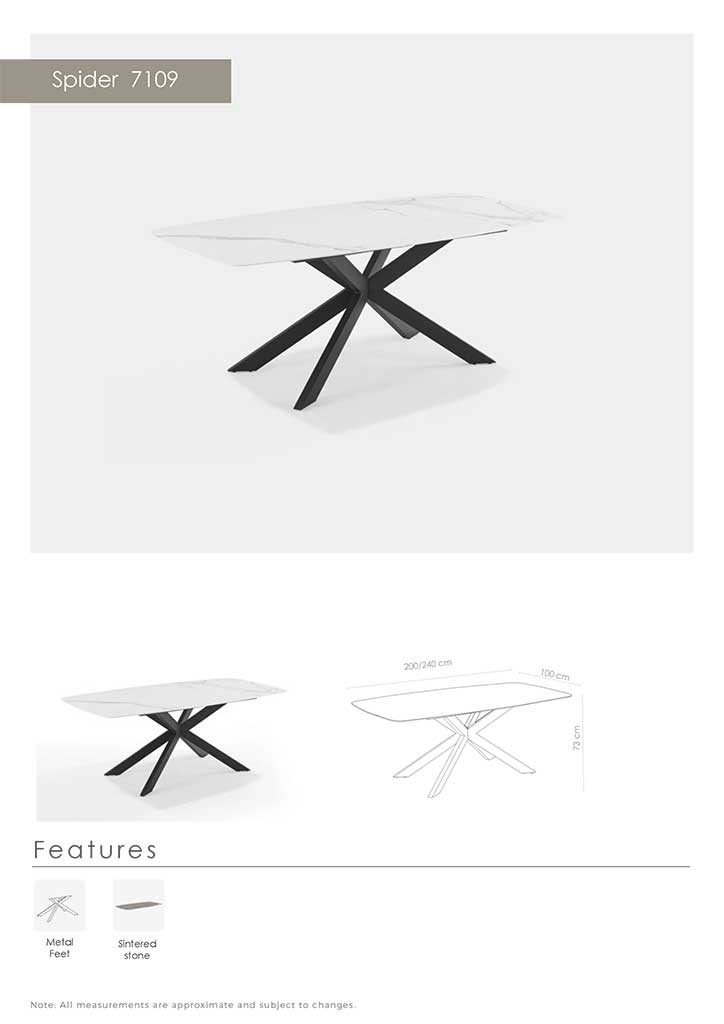 TAFELPOOT SPIDER 7109-240X100-BASIS - MDL