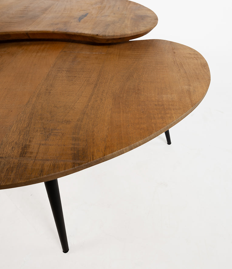 Salontafel Erfurt organisch, set van 2 - NW