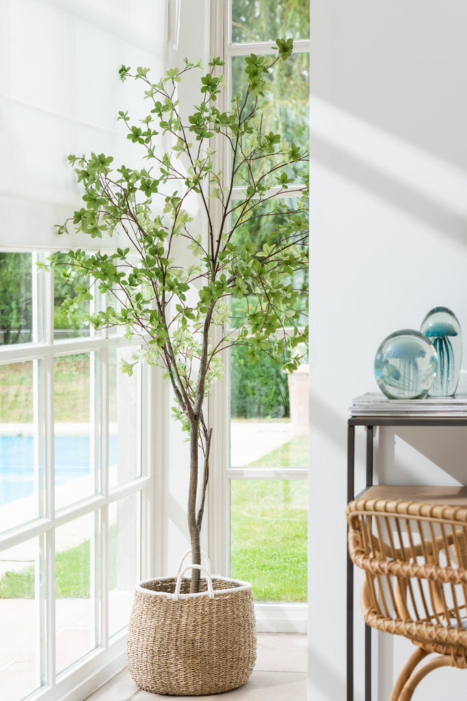 Palmplant in pot - J-LINE