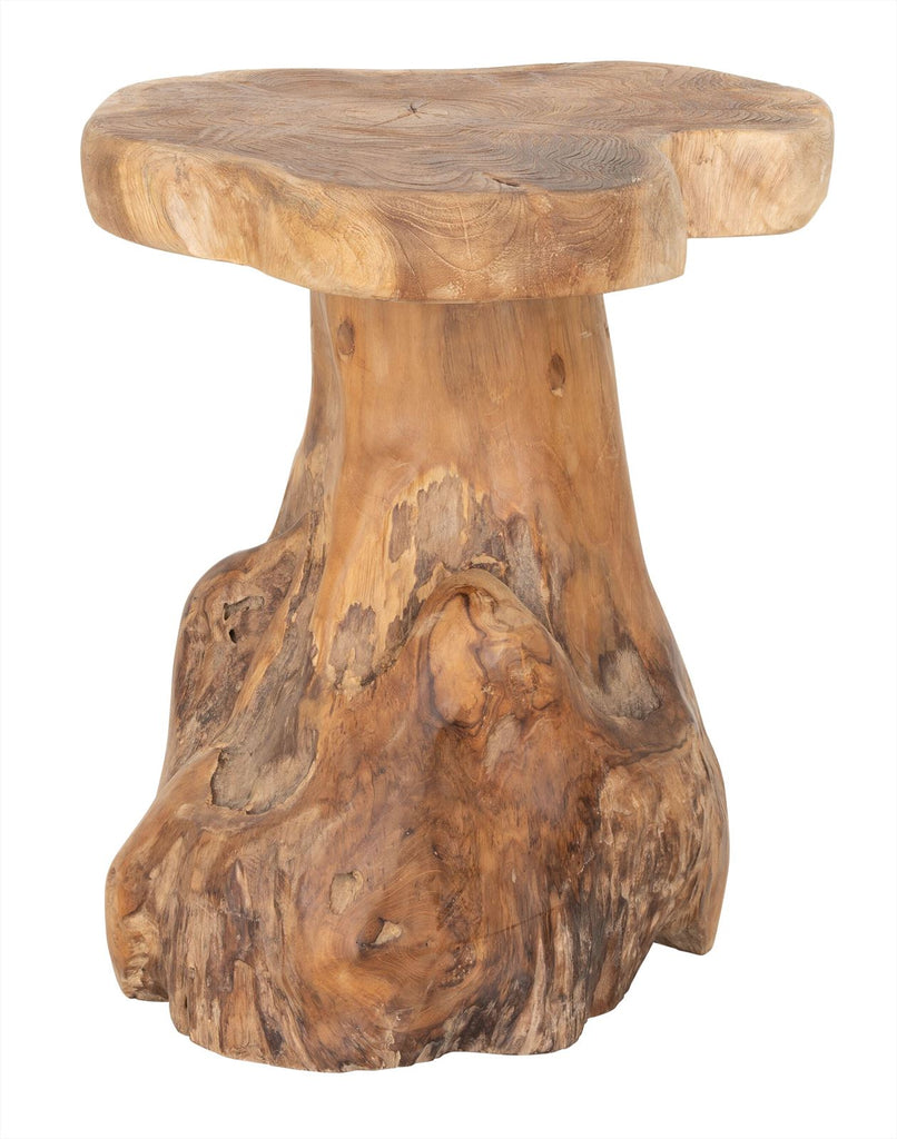 Kruk Mushroom naturel DTP