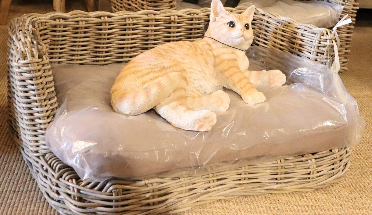 Honden- of kattenmand