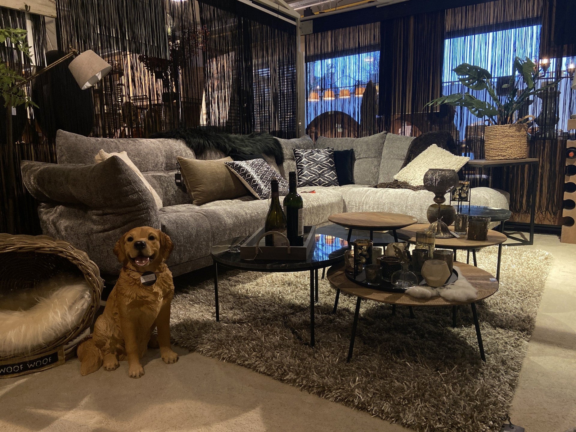salon Diego showroom