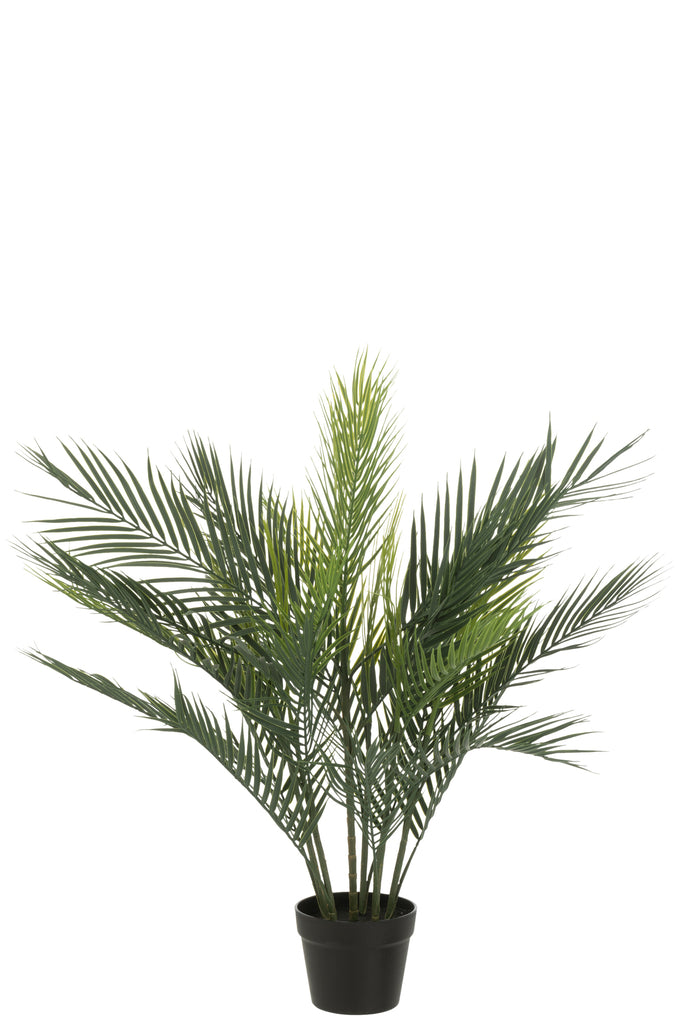 Palmboom in pot Groen - J-LINE