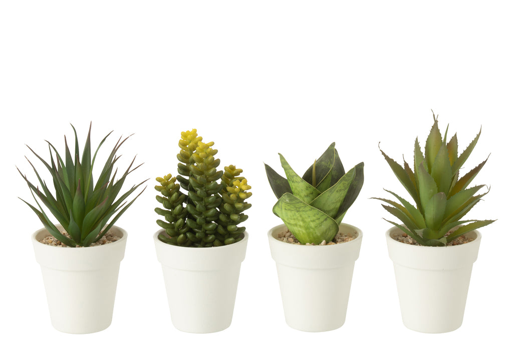 Planten in pot - J-LINE