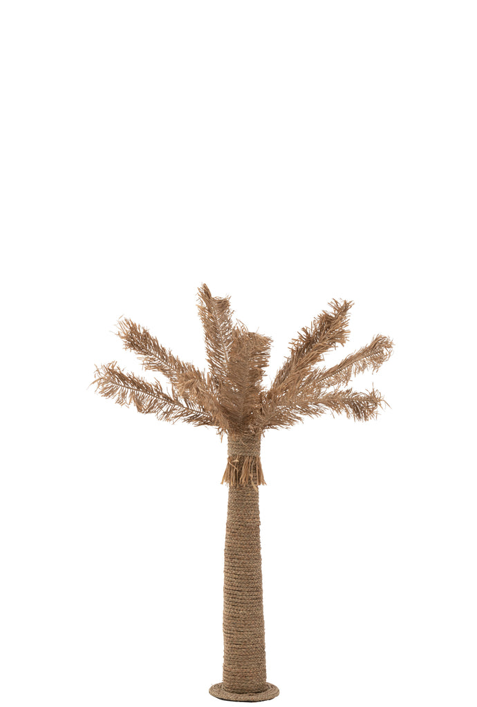 Palmier Herbe Marine Naturelle M - J-LINE - EN RUPTURE DE STOCK