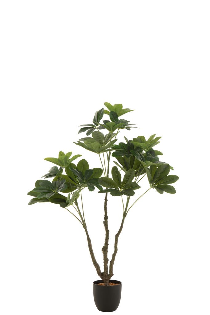 Vingerplant in pot Groen S - J-LINE