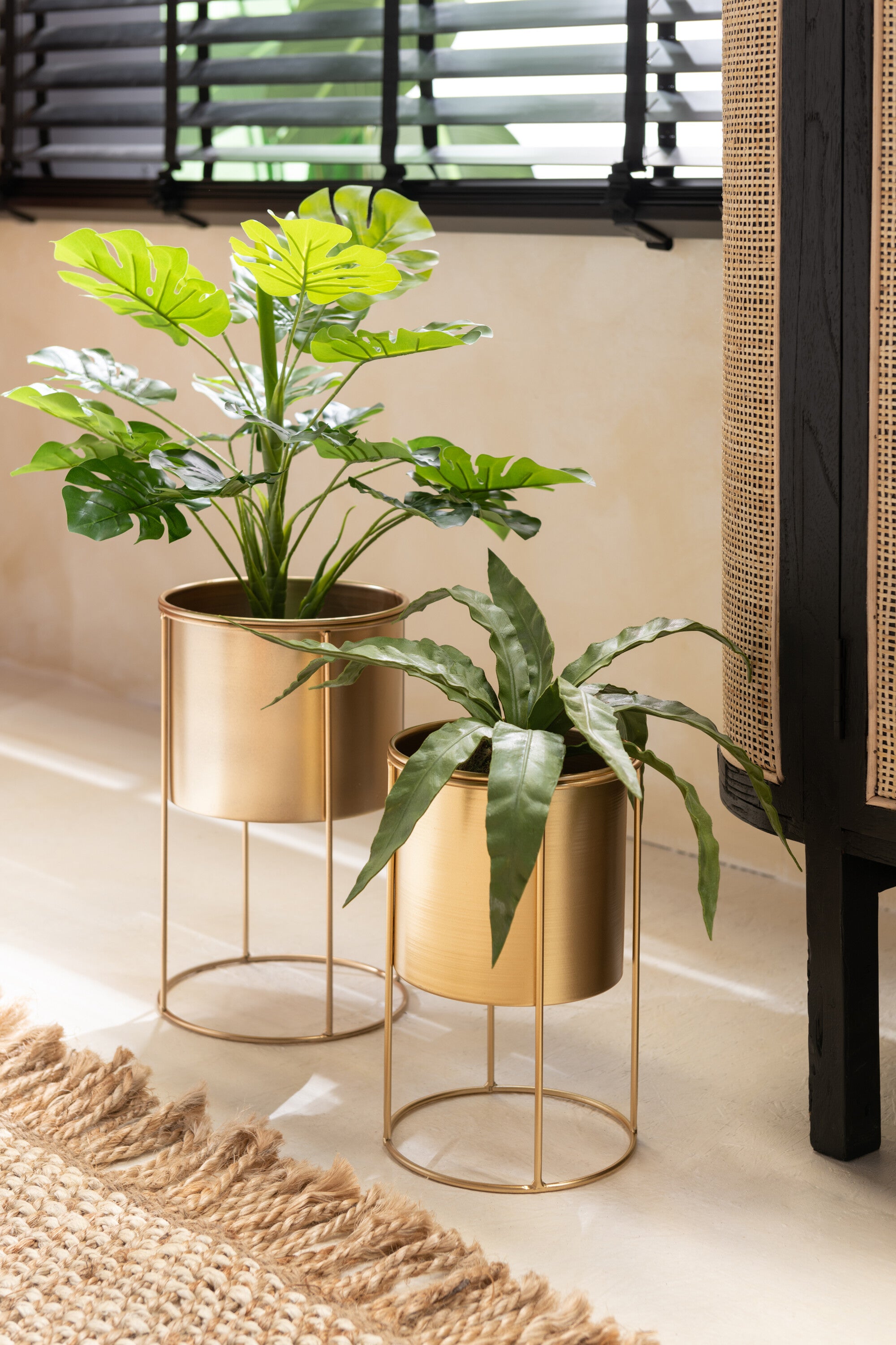 Slangenplant Plastic Groen - J-LINE