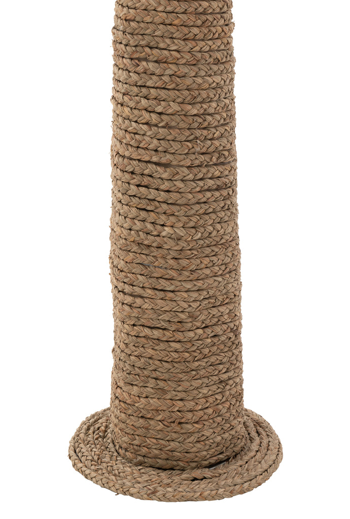 Palmier Herbe Marine Naturelle M - J-LINE - EN RUPTURE DE STOCK