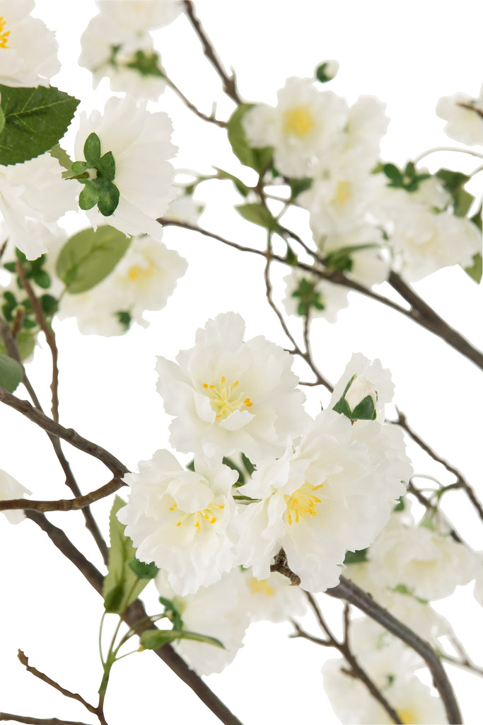 Bloesemboom Wit/Bruin L - J-LINE