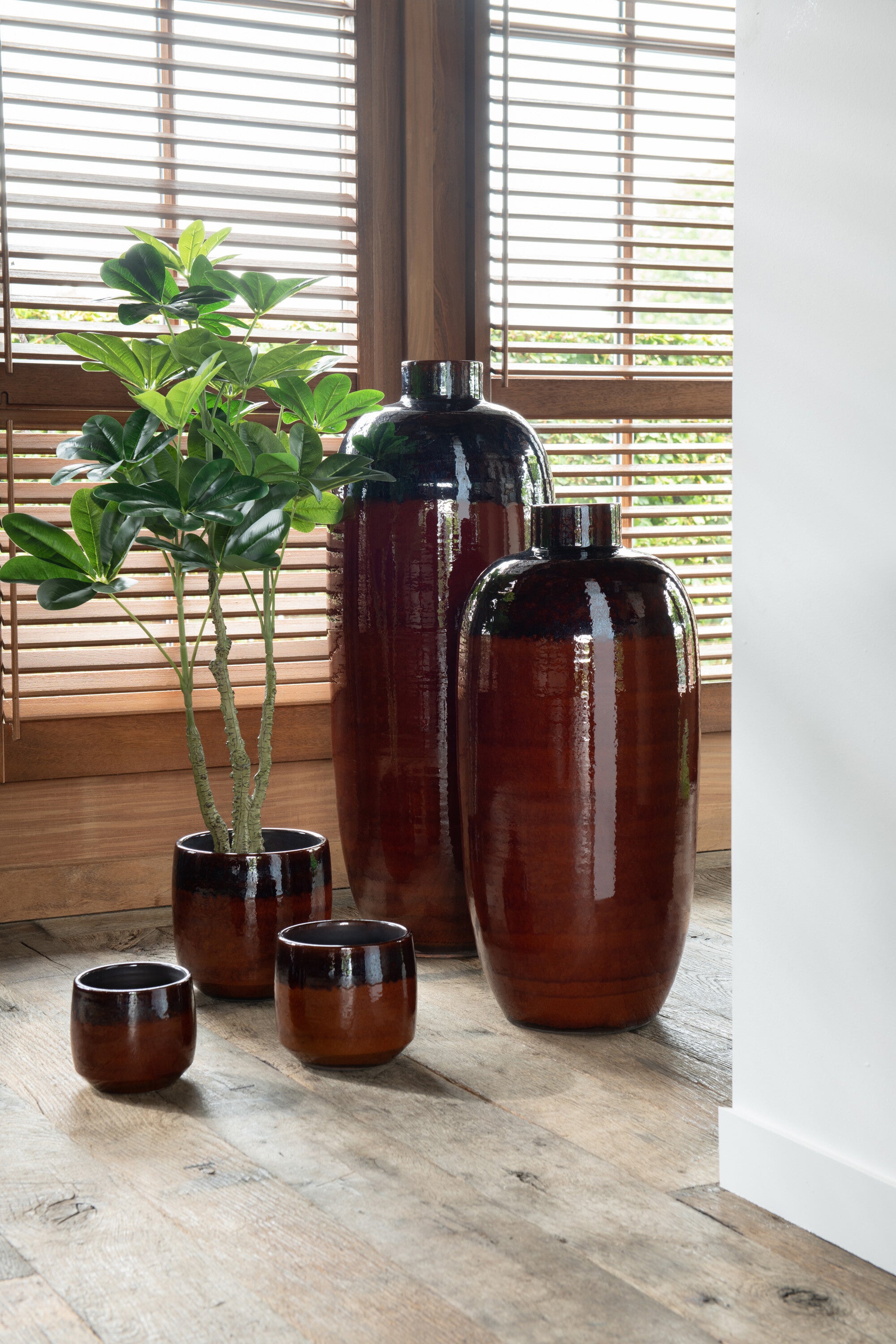 Vingerplant in pot Groen S - J-LINE