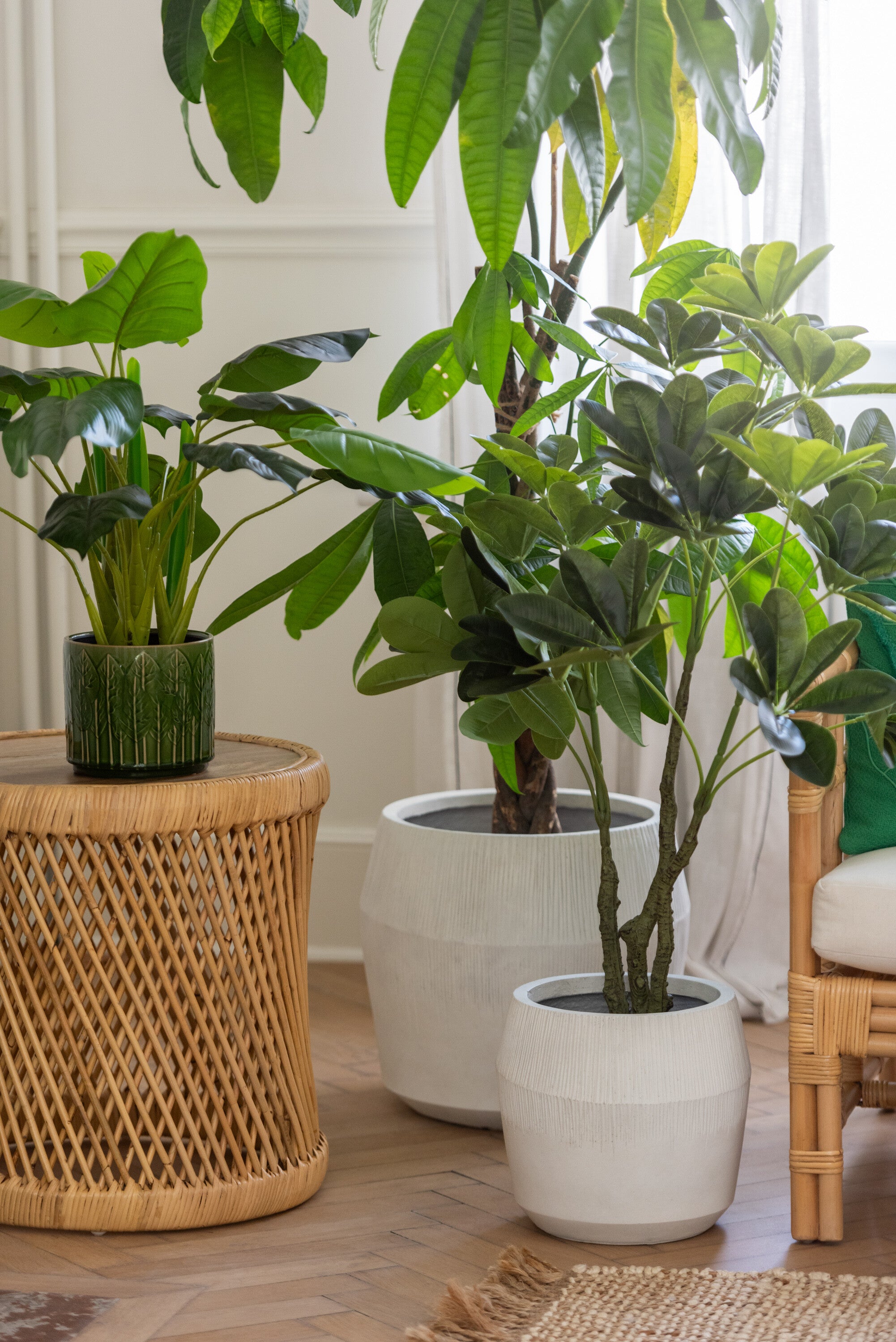Vingerplant in pot Groen S - J-LINE
