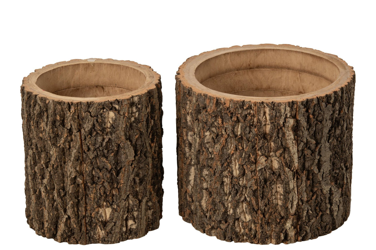 Set van 2 bloempotten in boomstamstijl van paulowniahout, naturel - J-Line