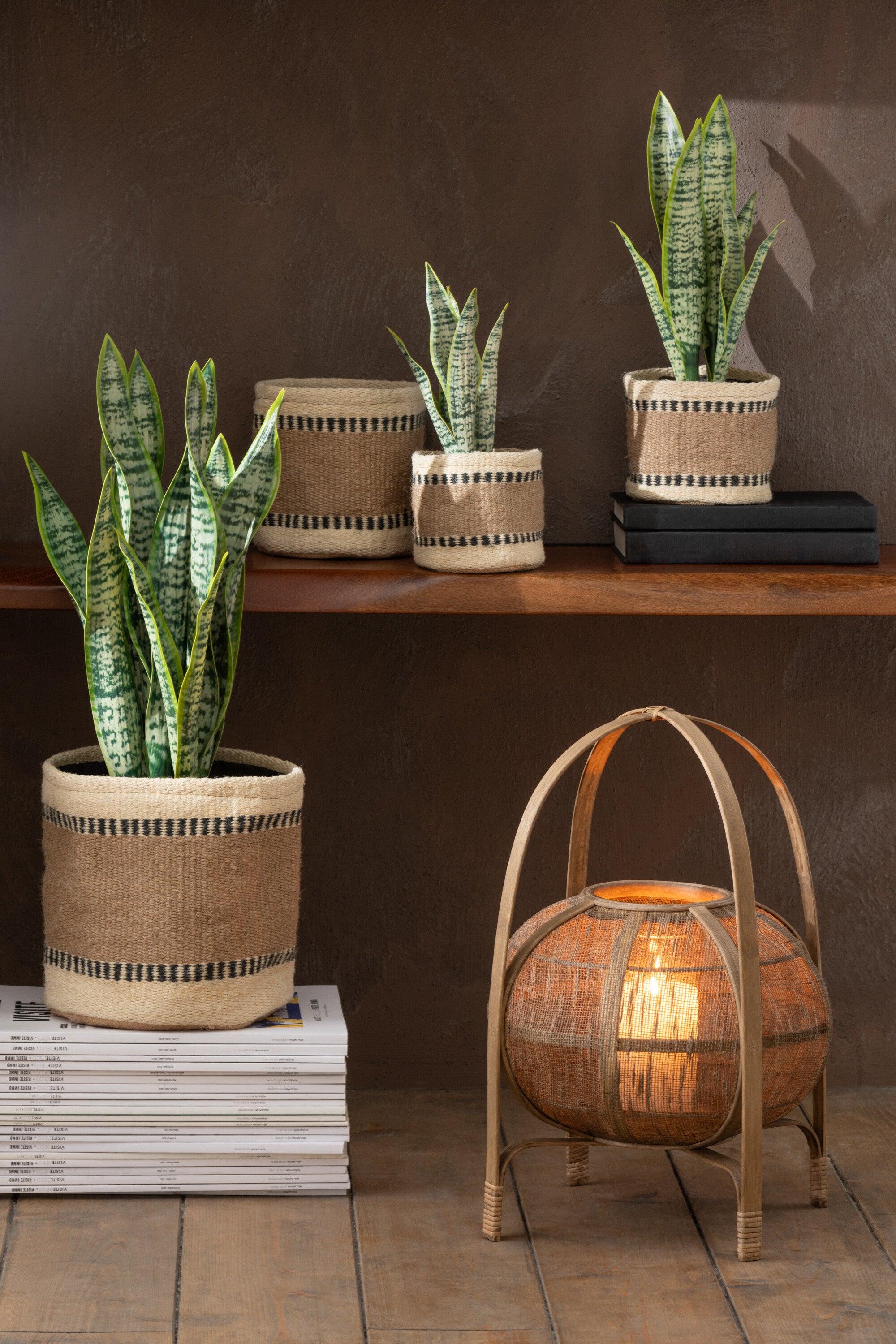 Plant Sansevieria In Pot Pvc Groen M - J-LINE