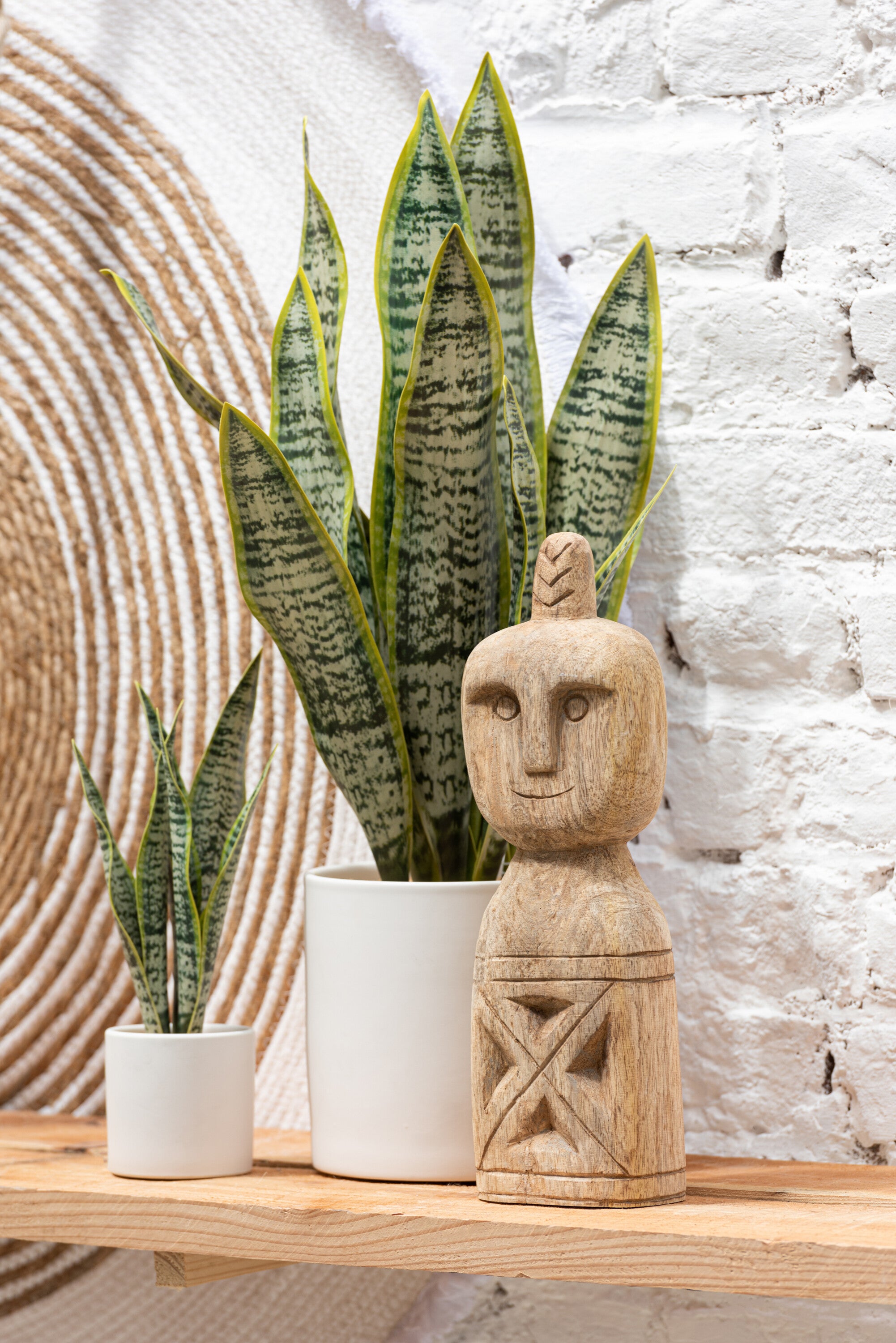 Plant Sansevieria In Pot Pvc Groen XL - J-LINE