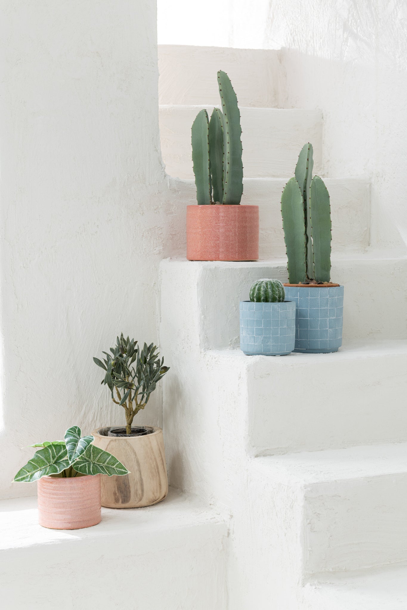 Cactus 3 Delen In Pot Plastic Groen S - J-LINE