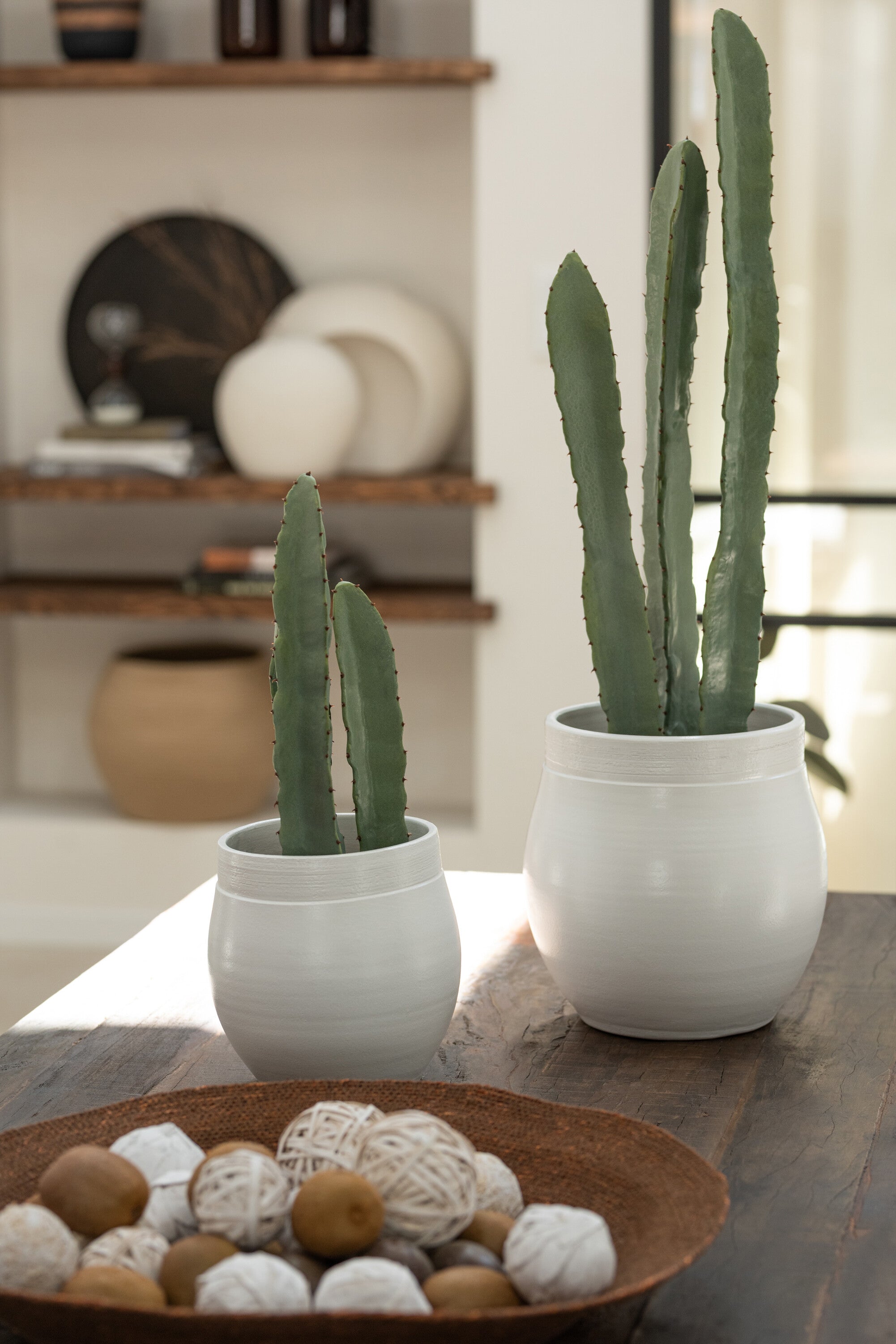 Cactus 3 Delen In Pot Plastic Groen S - J-LINE