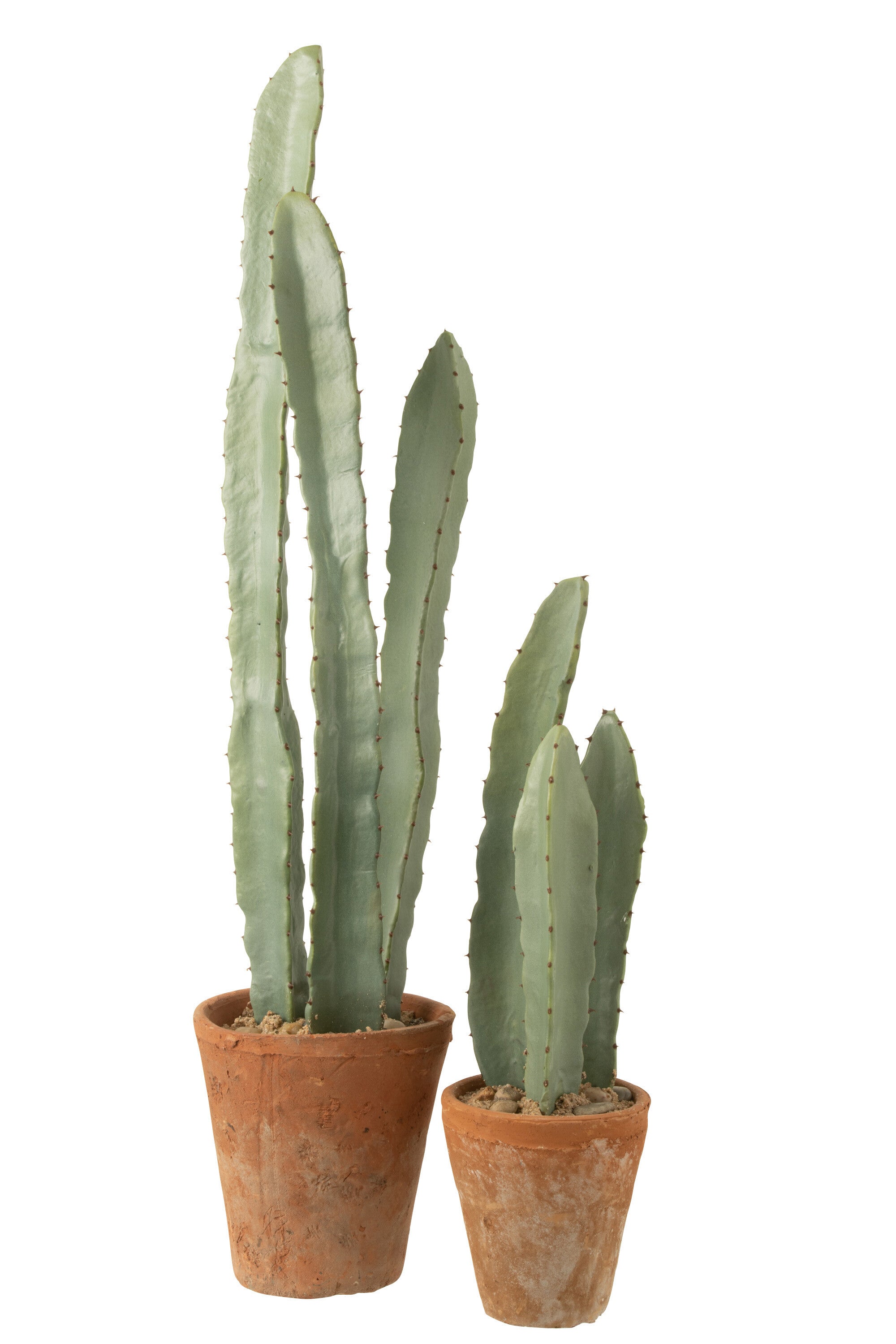 Cactus 3 Delen In Pot Plastic Groen L - J-LINE