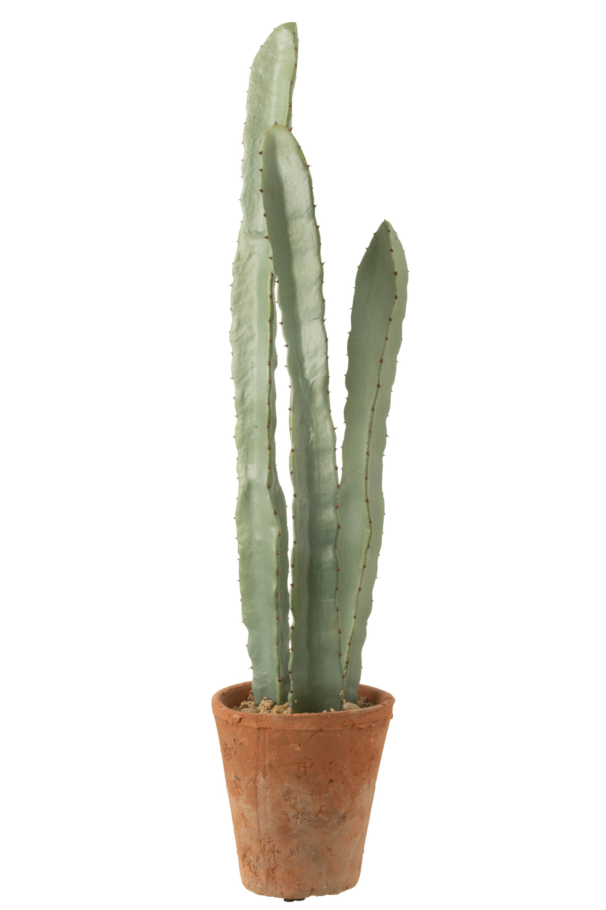 Cactus 3 Delen In Pot Plastic Groen L - J-LINE