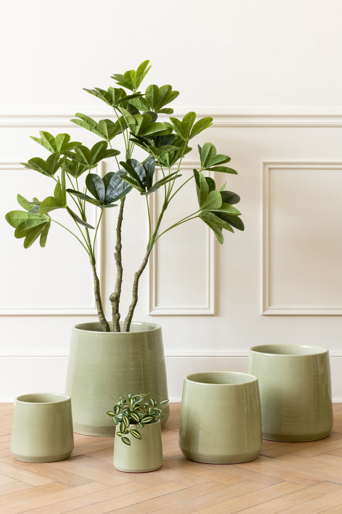 Vingerplant in pot Groen S - J-LINE