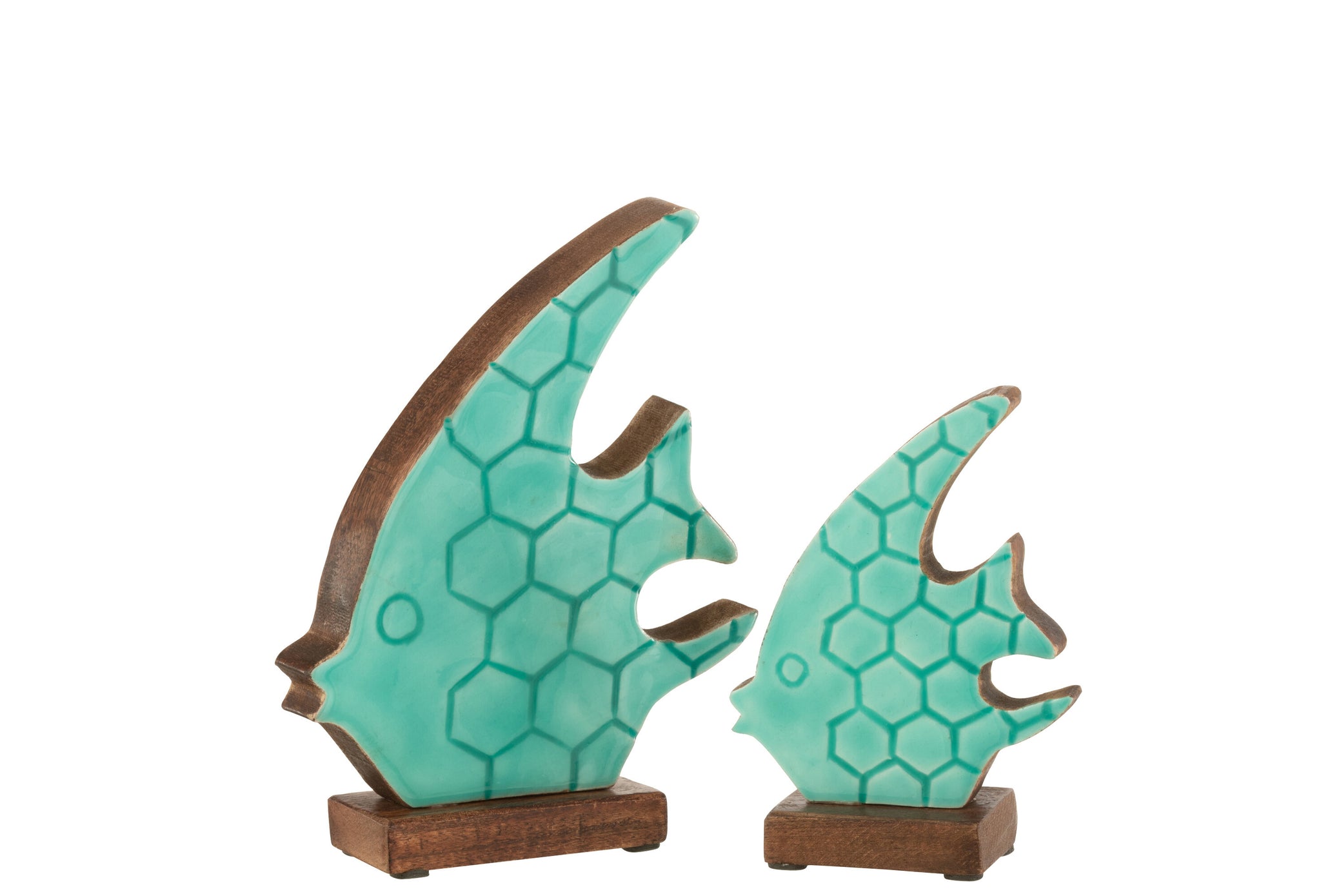 Vis op voet Mangohout Azuur L - J-LINE