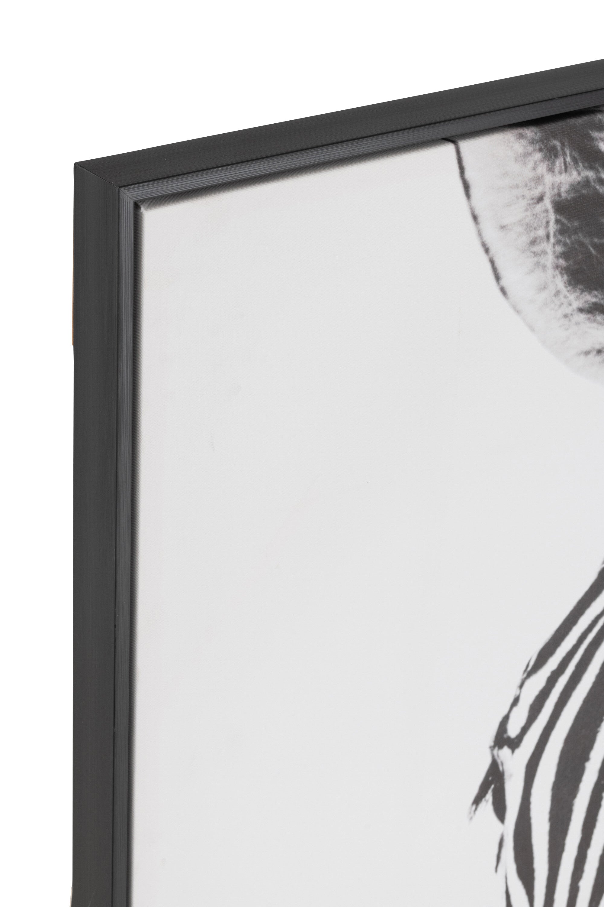 Wanddecoratie Zebra - J-LINE