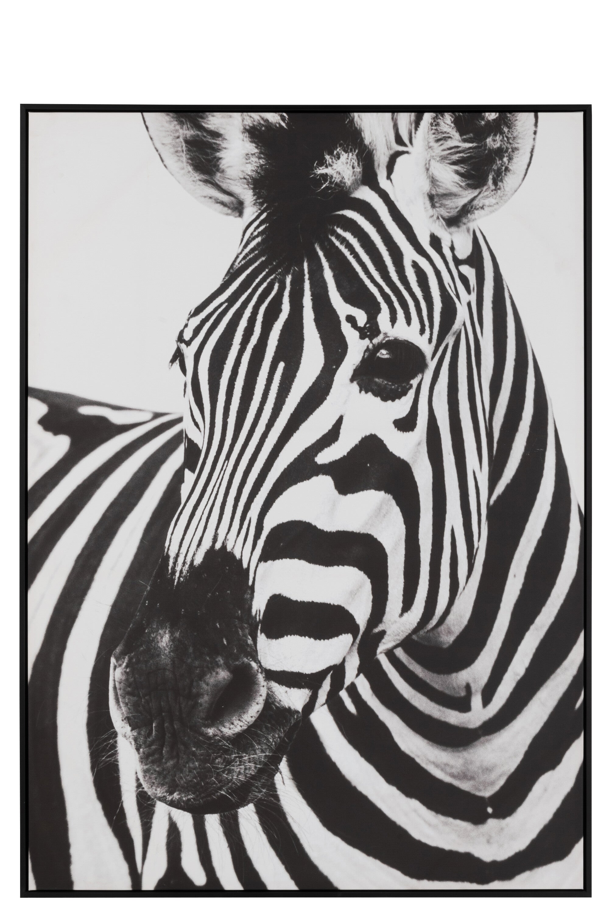 Wanddecoratie Zebra - J-LINE