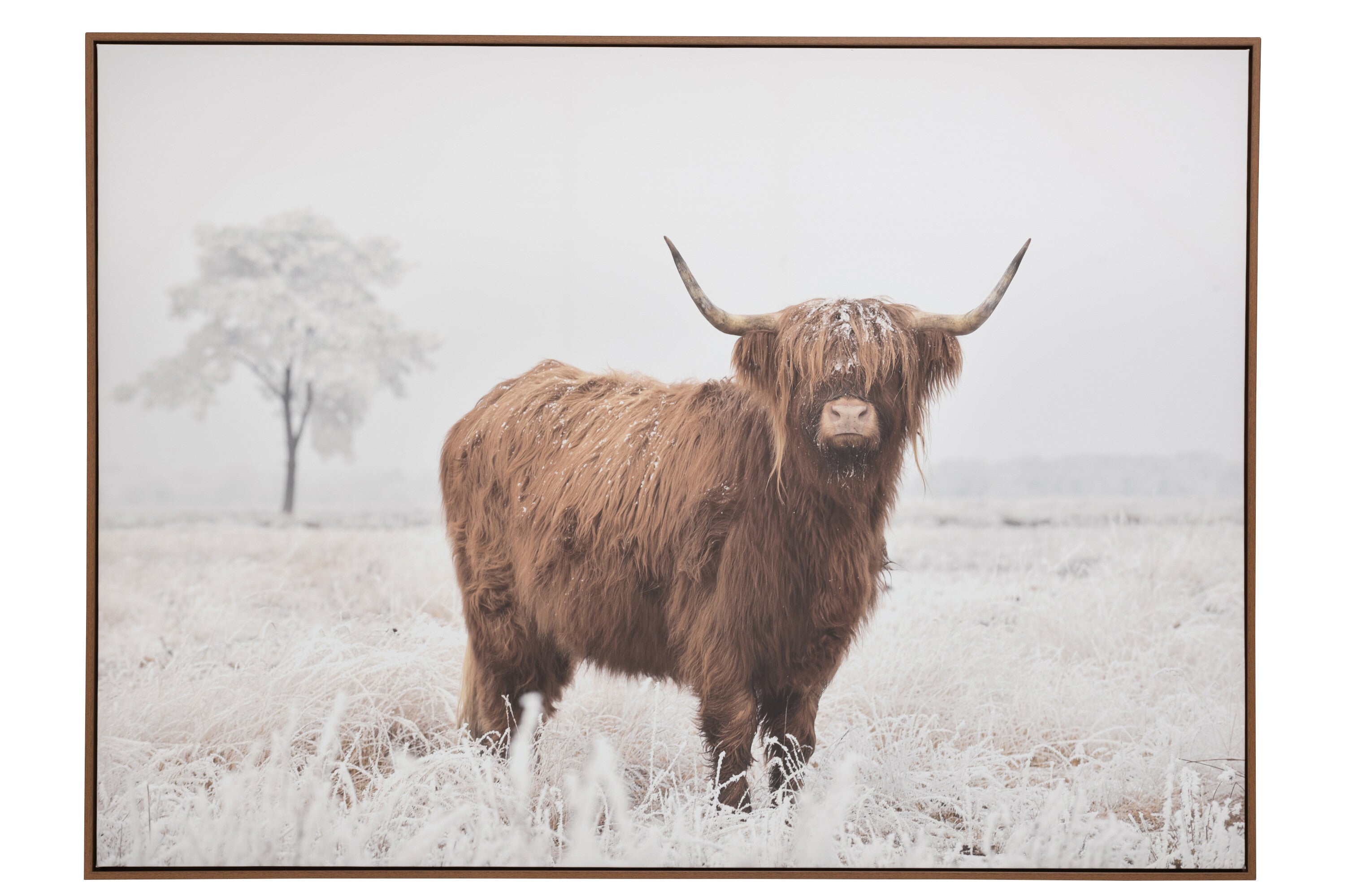 Muurdecoratie Yak Grenen/Polyhars Wit/Bruin - J-LINE