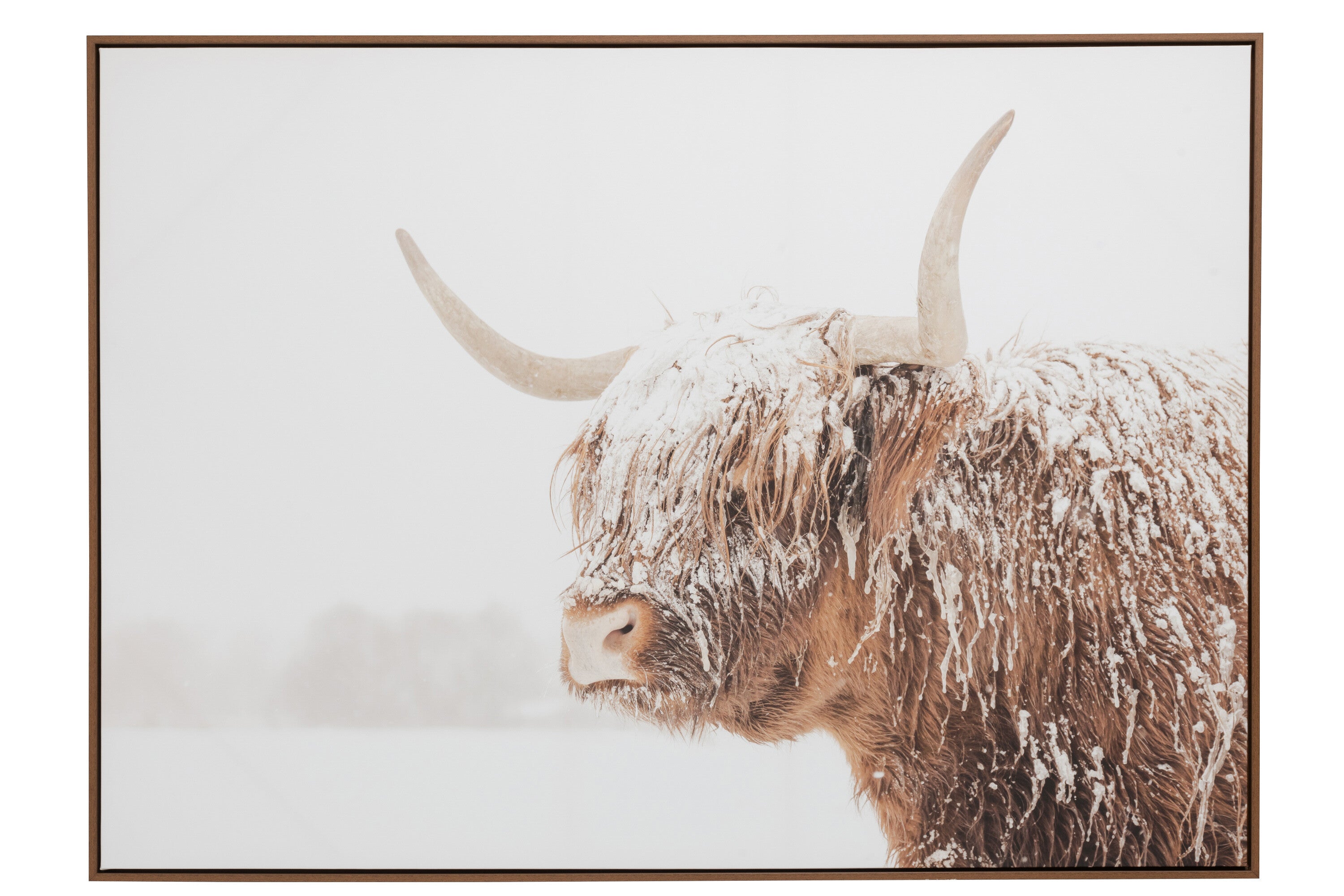 Wanddecoratie Yak - J-LINE