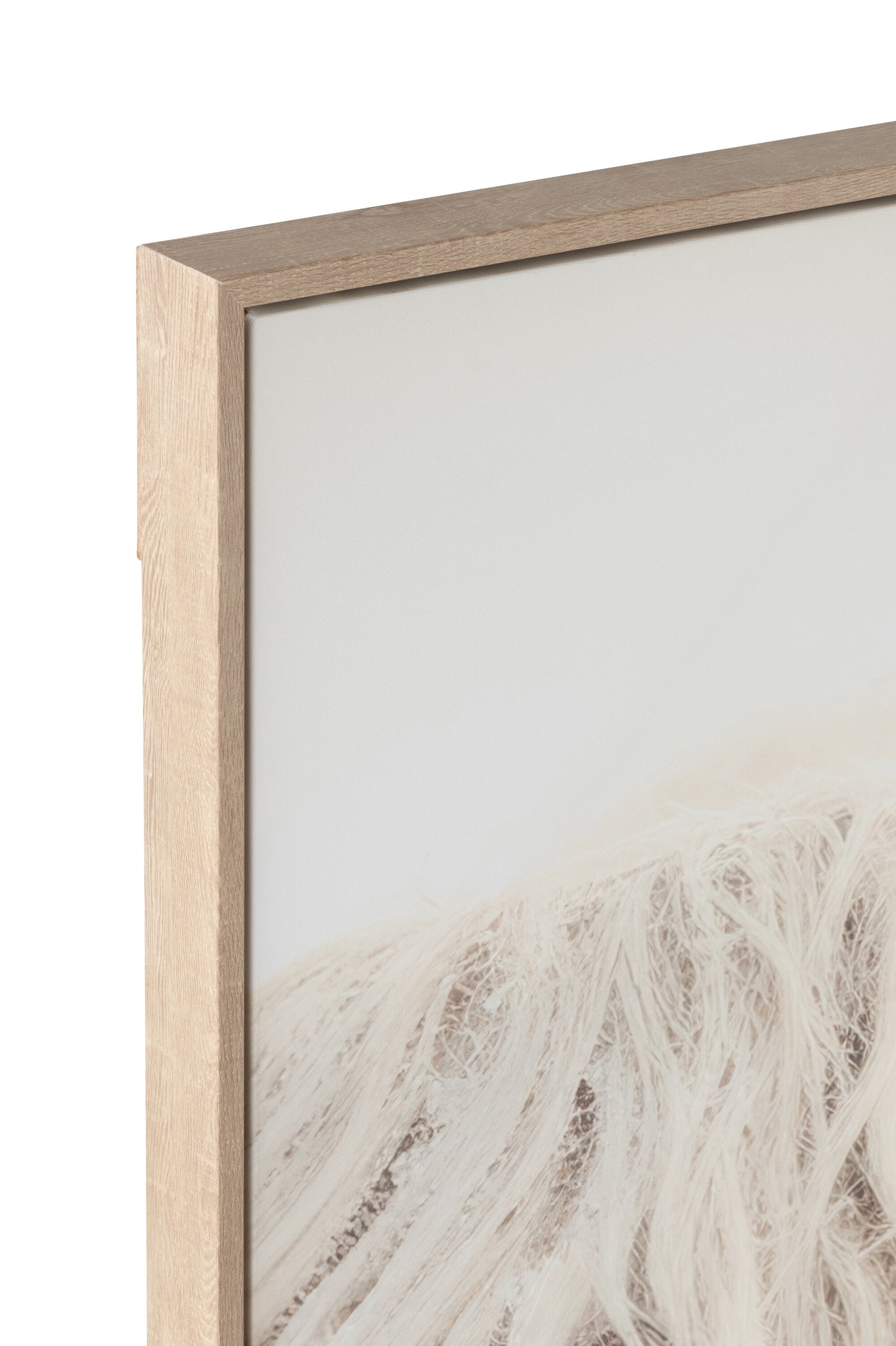Wanddecoratie Yak - J-LINE