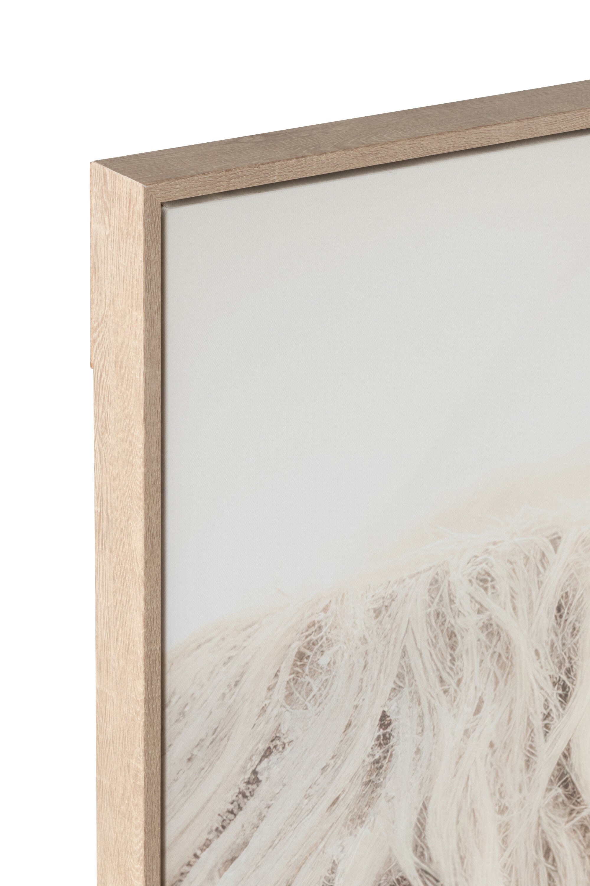 Wanddecoratie Yak - J-LINE